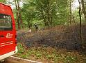 Waldbrand Bergisch Gladbach Bensberg P052